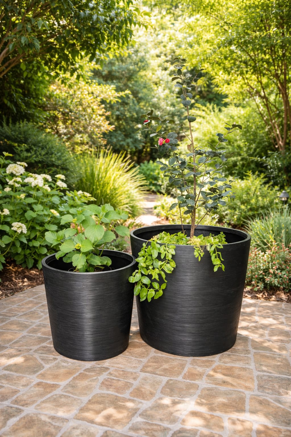 Macetero Merlot