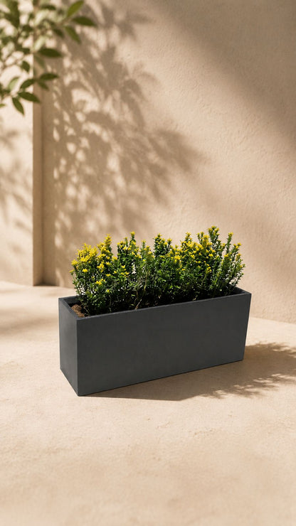 Macetero Rectangular (Jardineras)