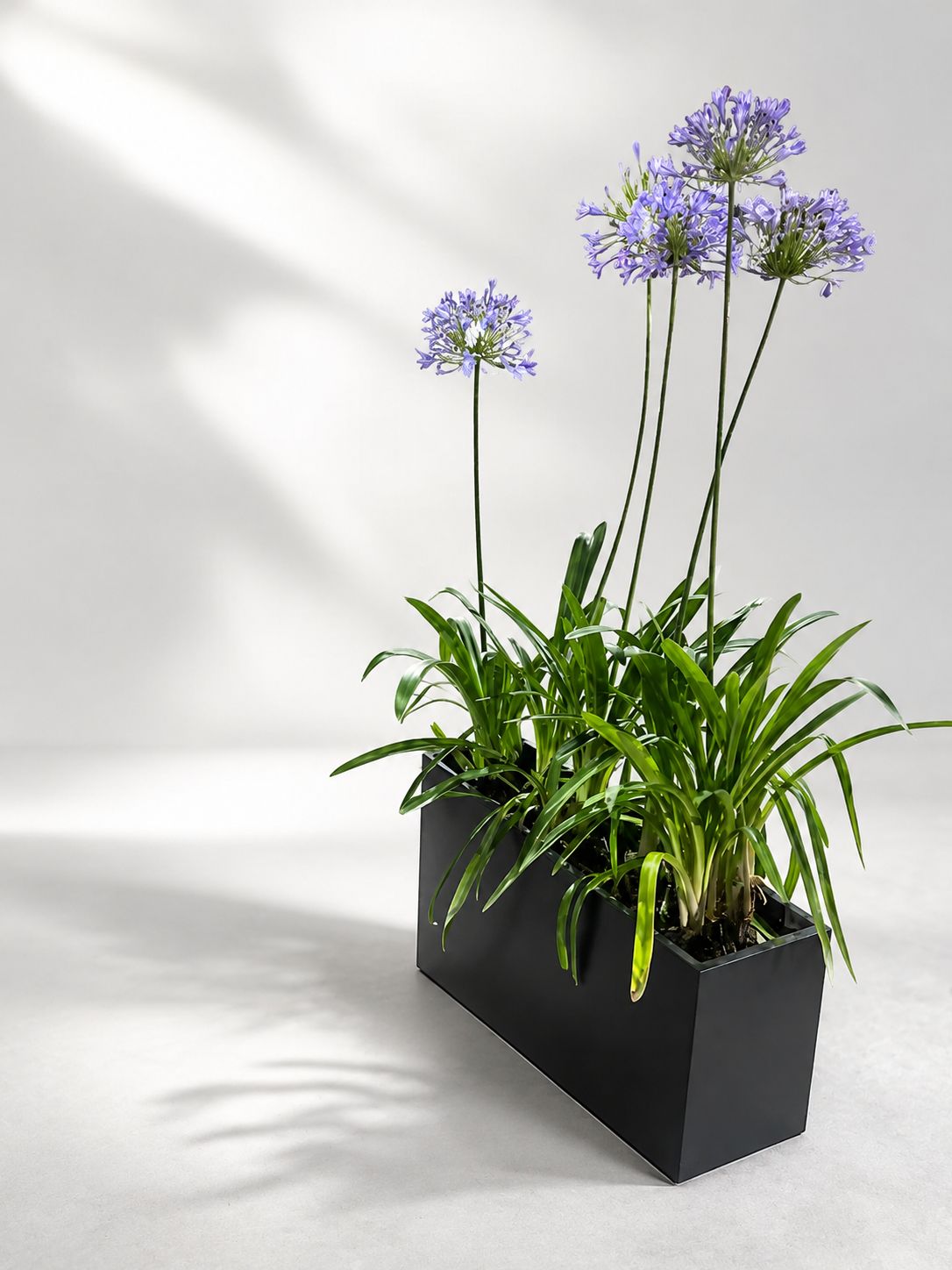 Macetero Rectangular (Jardineras)