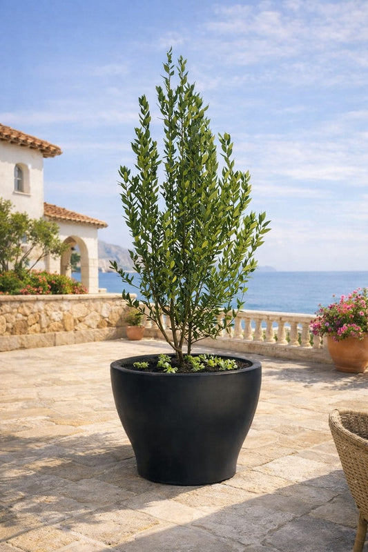 Macetero Modelo Coliseo (Diámetro 100 cm / Alto 75 cm)