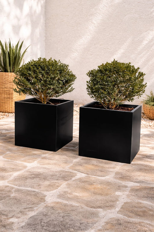 Macetero Modelo Cubo (50x50 cm)