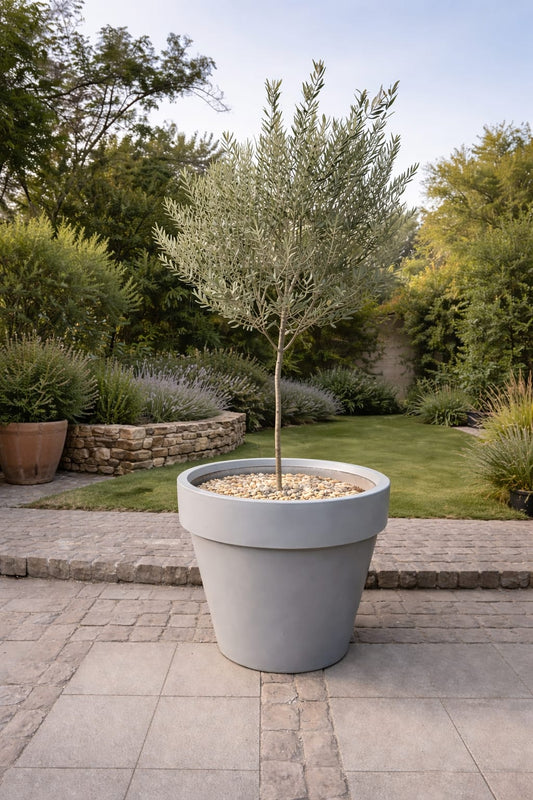 Macetero Modelo Española