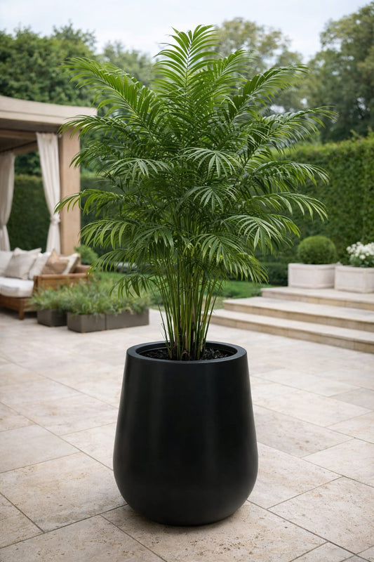 Macetero Modelo Jarron