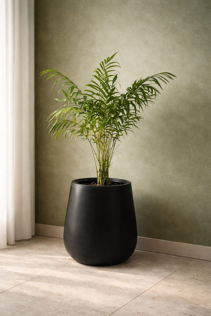 Macetero Modelo Jarron