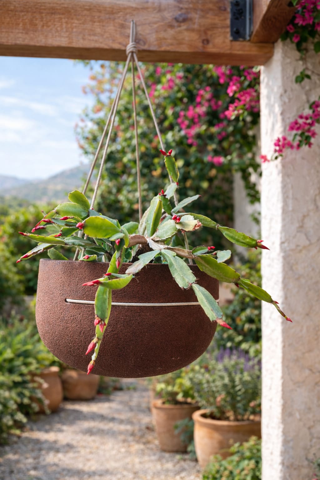 Macetero Colgante (Diámetro 28 cm / Alto 15 cm)
