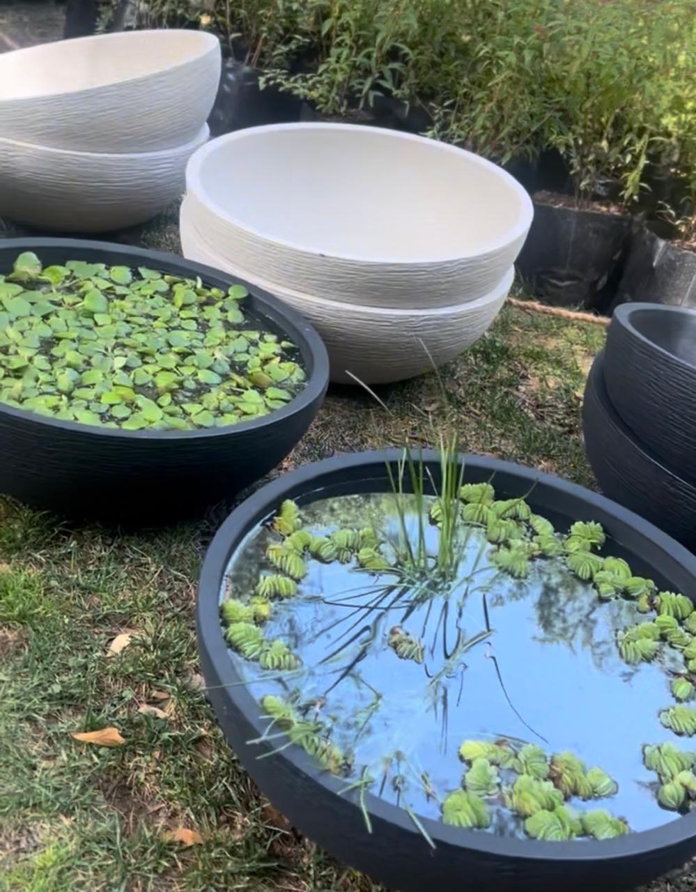 Macetero Modelo Bowl