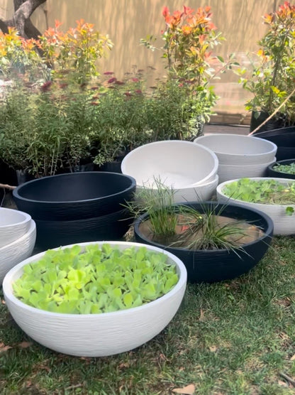 Macetero Modelo Bowl