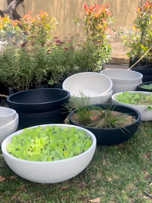 Macetero Modelo Bowl