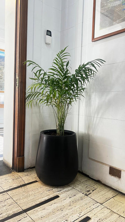 Macetero Modelo Jarron