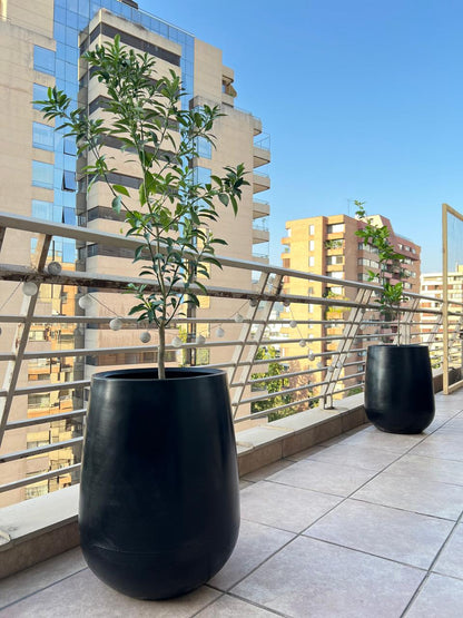 Macetero Modelo Jarron