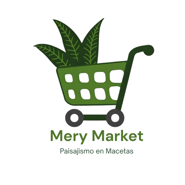 Mery Market Chile