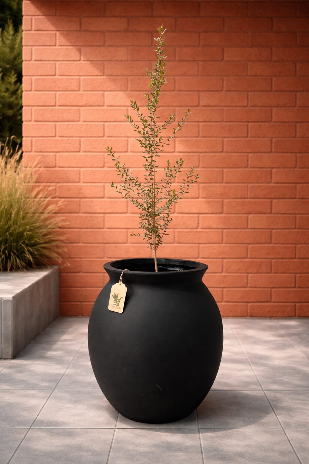 Macetero Modelo Tinaja ( 50x65 cm)