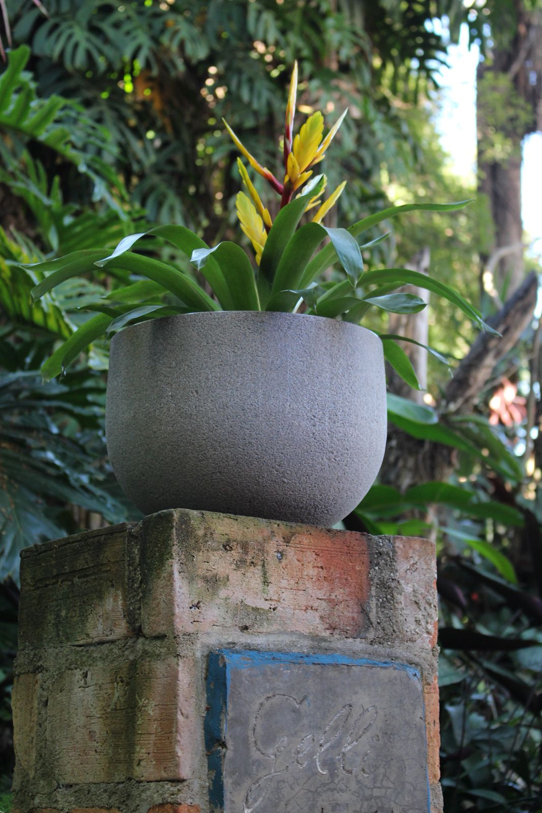 Macetero Rustic Round